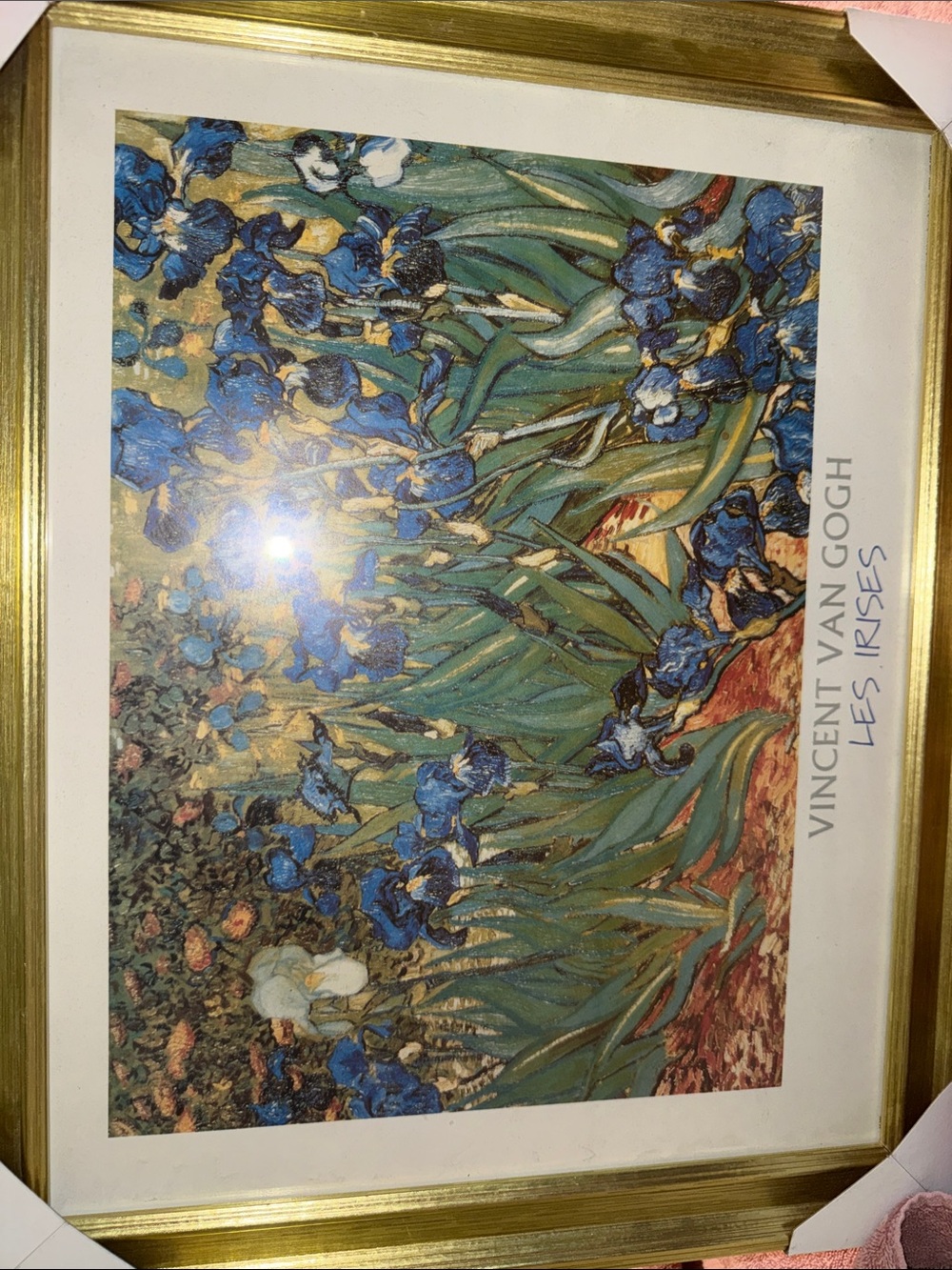 Blue Irises Framed Art Print